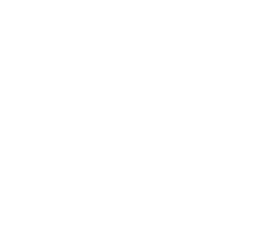 Welsh Government